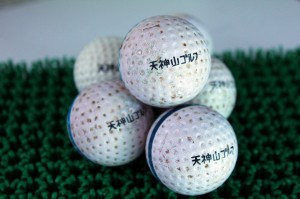 tenjiyama-golf